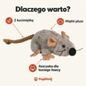Dlaczego warto: z kocimiętką, miękki plusz, rozrywka dla kota