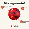 Dlaczego warto: smakołyki w środku, trwała zabawka, kolor losowy